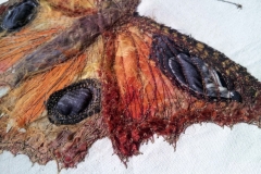 Butterfly-detail