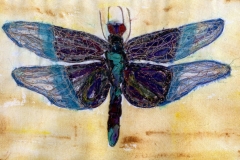 Dragonfly-2_web