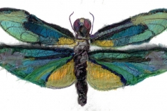 Dragonfly-3_web
