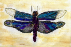 Dragonfly-Series