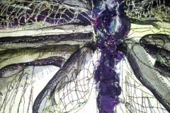 Dragonfly-detail_web