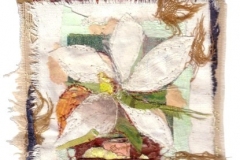 Fiore-05