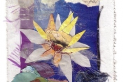 Fiore-06