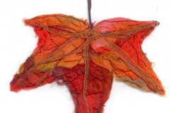 leaf-5_web