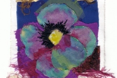 Pansy