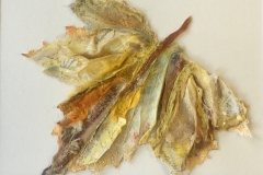 Autumn-Leaf-