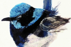 Fairy-Wren-