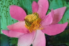 Lotus-flower-2
