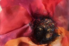 Pansy