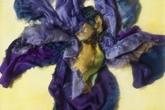 iris