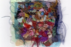 rock-pools-03