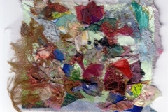 rock-pools-05