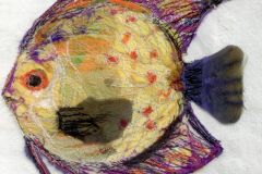 Discus-fish_2_web