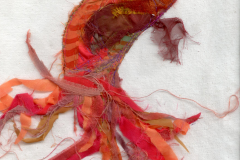 Siamese-fighting-fish-2_web
