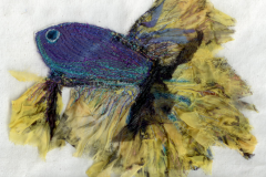 Siamese-fighting-fish-3_web
