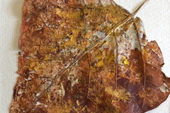 Gold-Leaf_web