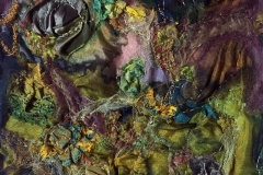 Lichen-and-Moss_web