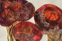 Red-Toadstools_web